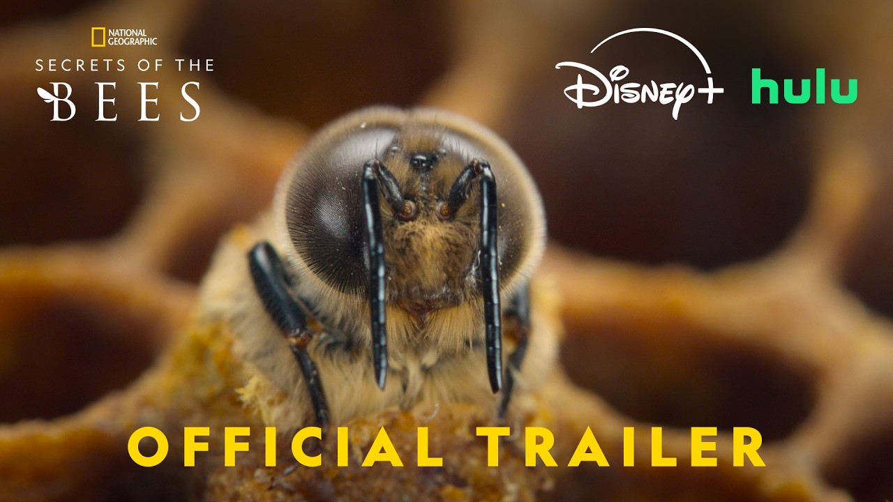 Secrets of the Bees, National Geographic official trailer
