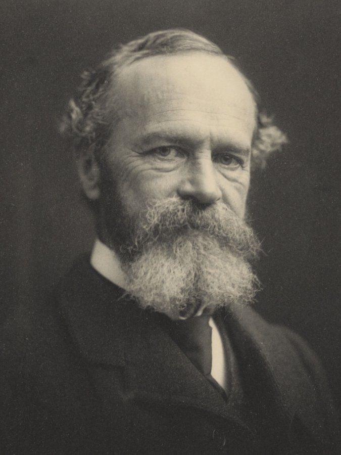 Portrait of William James, ca. 1903.