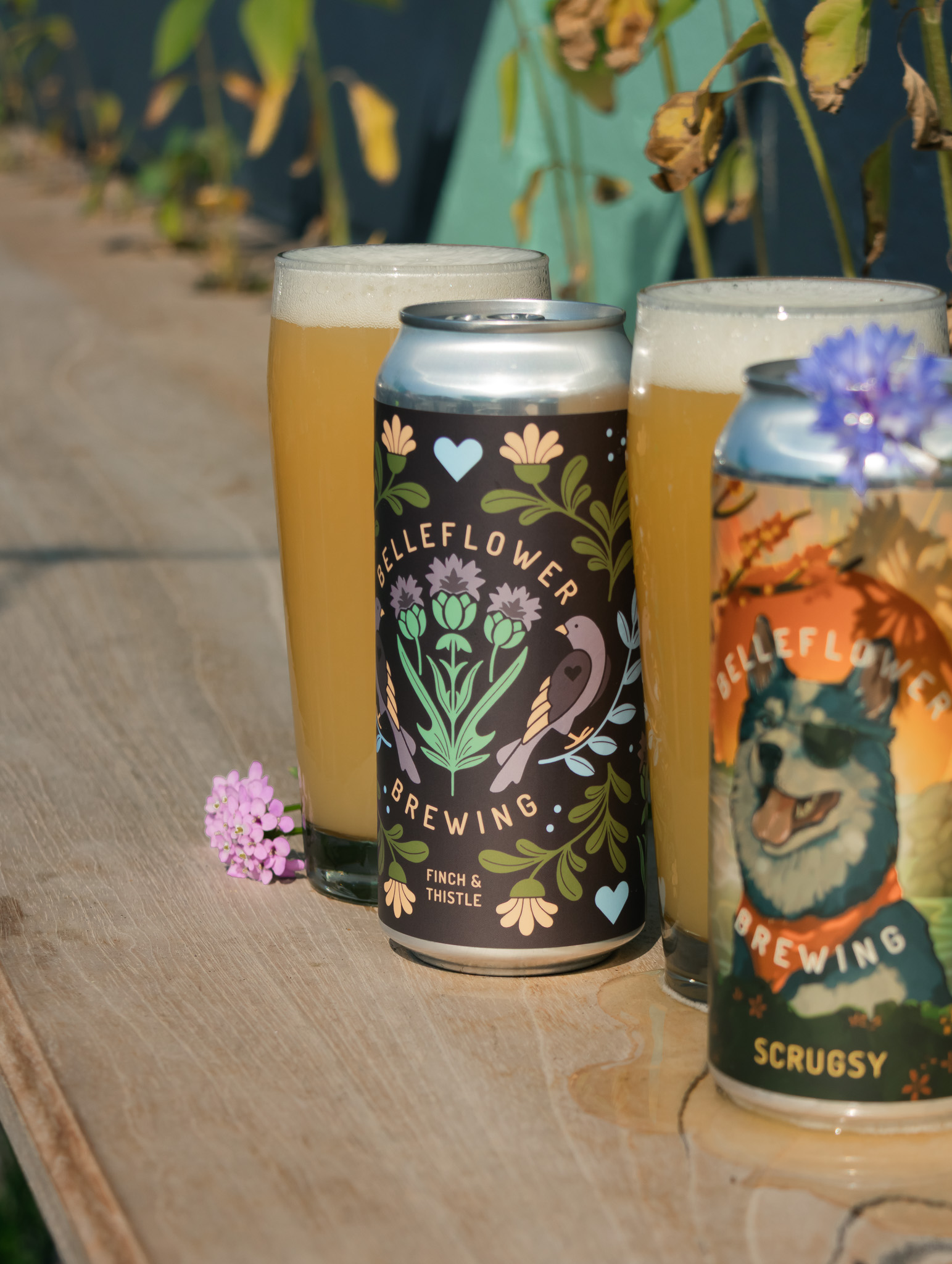 Belleflower Brewing &mdash; behind-the-scenes shot.